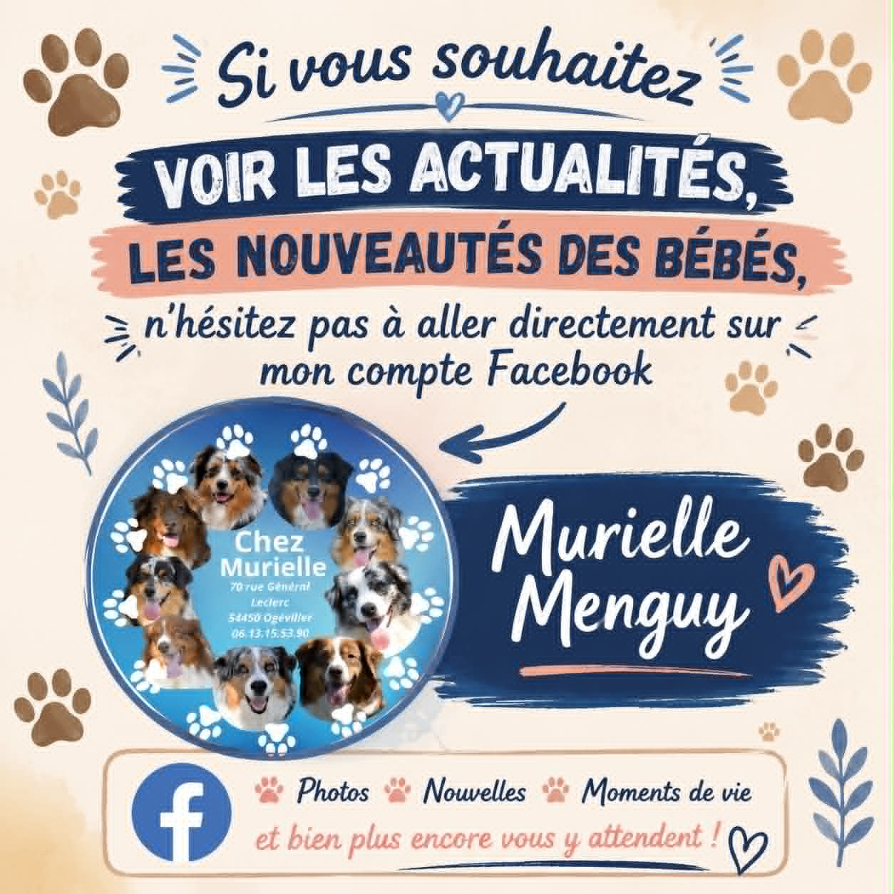 Venez voir plus d'actualités, vidéos