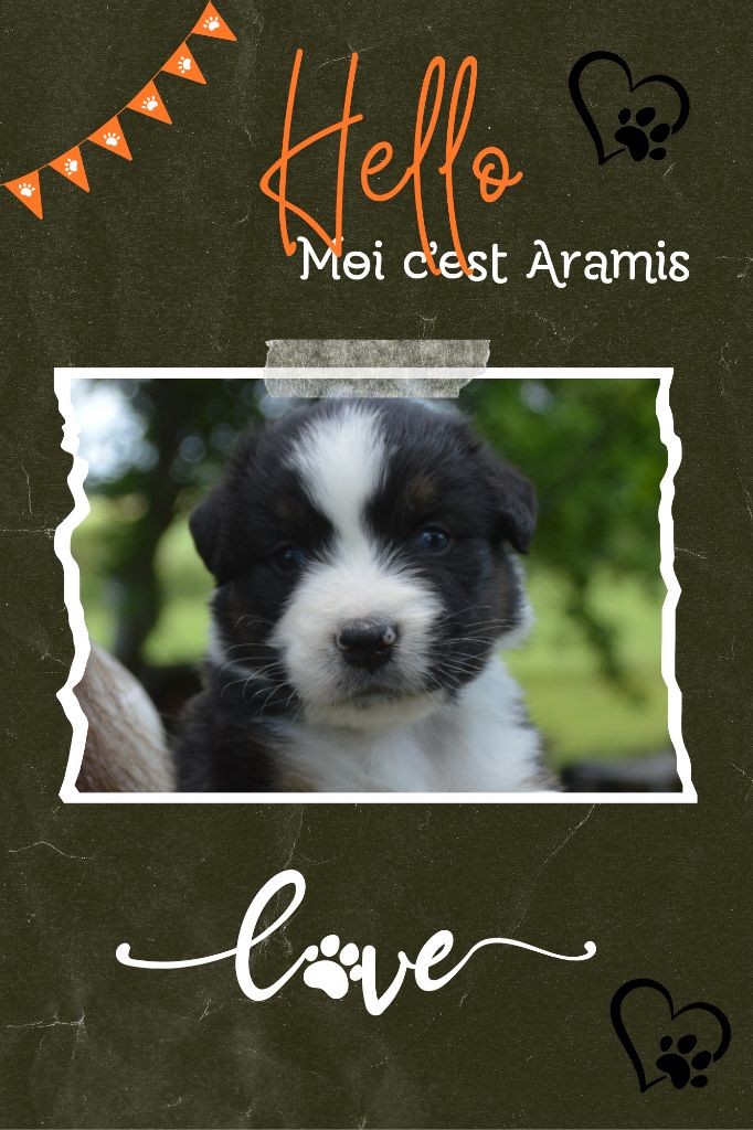 Aramis