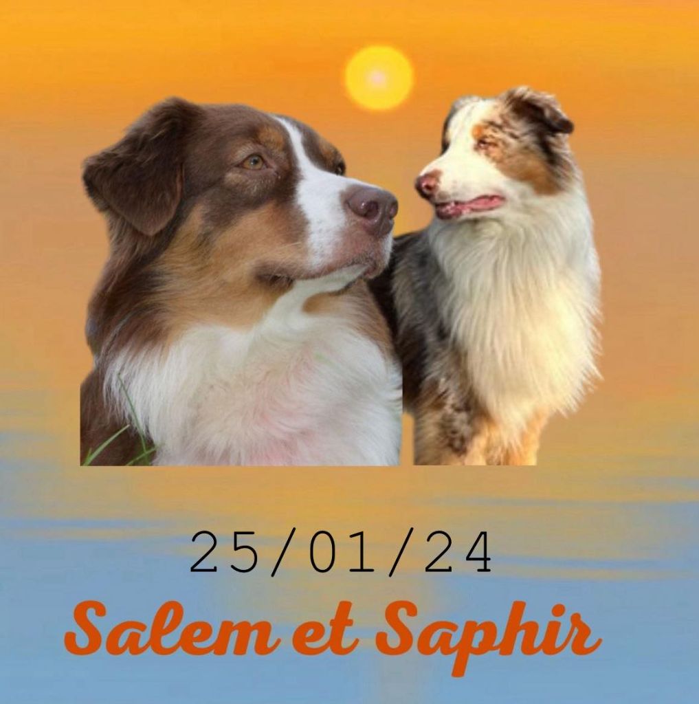 Bébés Salem et Saphir 25/01/24